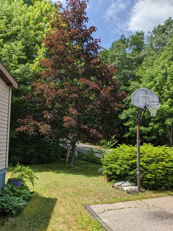 9 Daffodil Hill Lane Rochester NH 03868