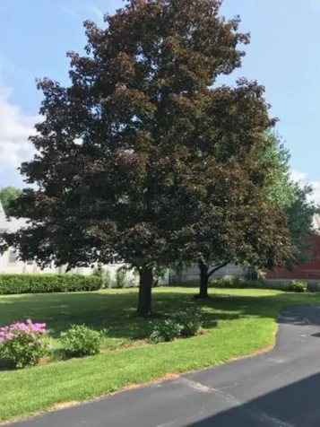 18 Grove Street Claremont NH 03743