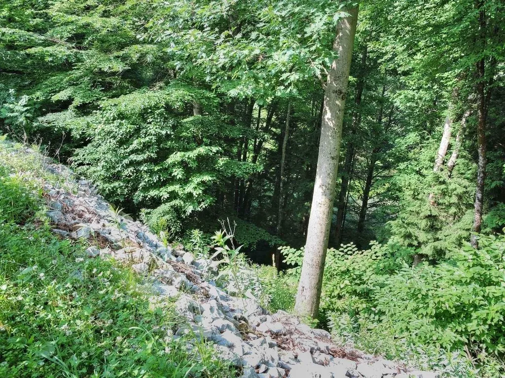 11 Raspberry Court Milton VT 05468