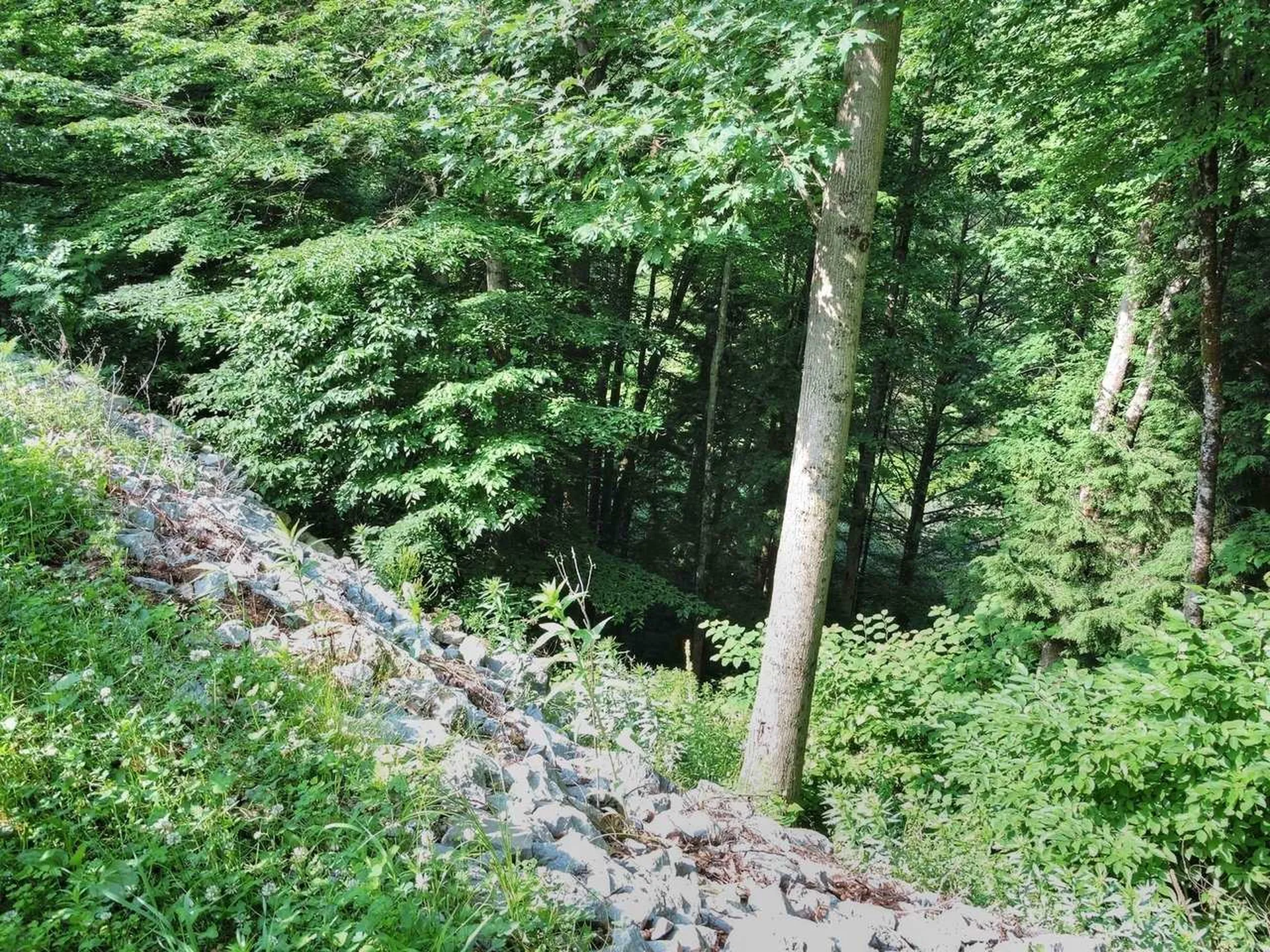 11 Raspberry Court Milton VT 05468