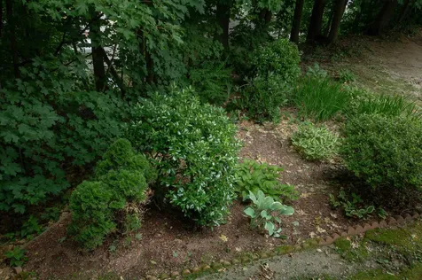 112 Highland Street Brattleboro VT 05301