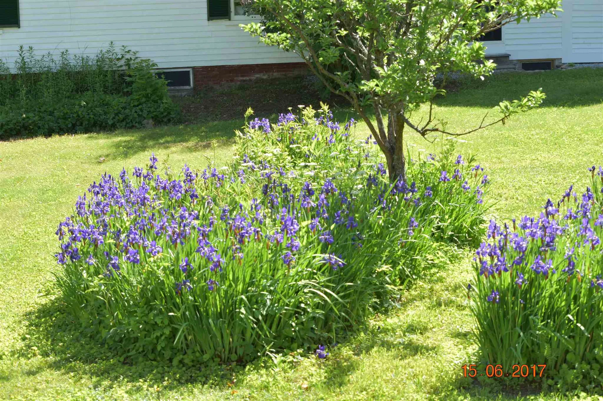 65 Beech Street Bristol NH 03222