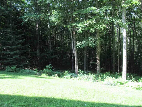 875 Milan Hill Road Milan NH 03588