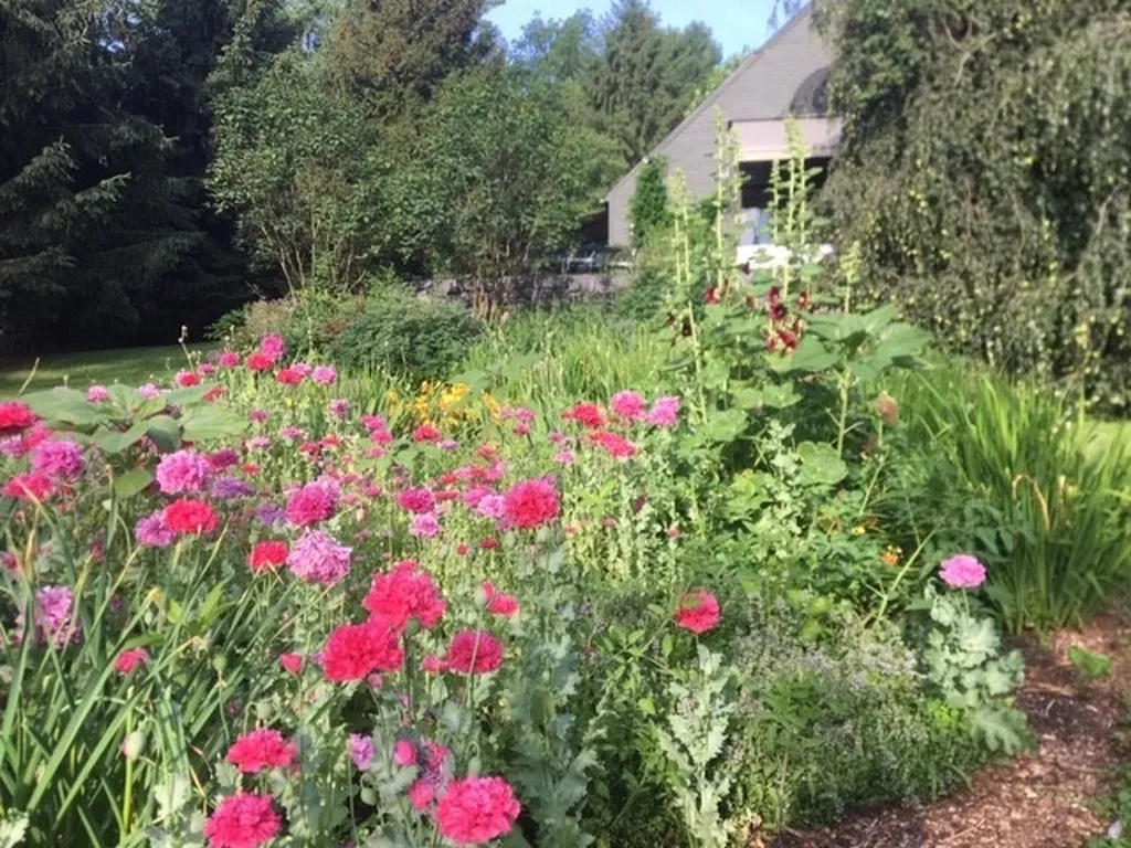 3130 Mount Philo Road Charlotte VT 05445
