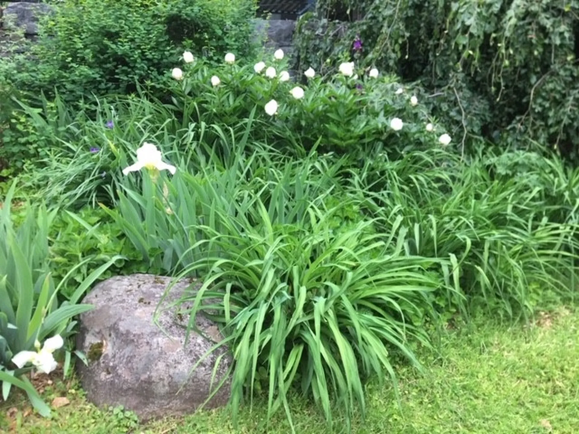 3130 Mount Philo Road Charlotte VT 05445