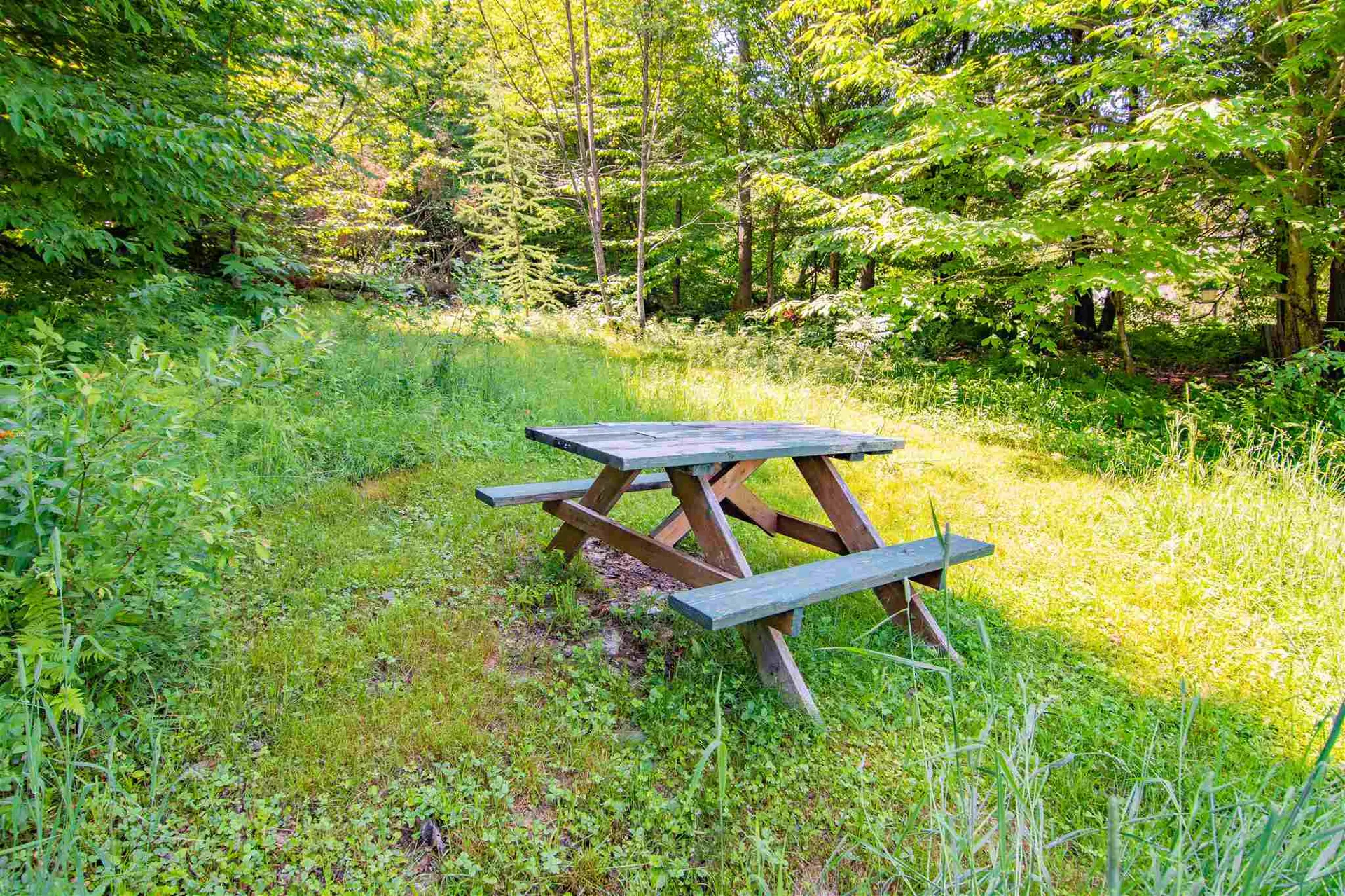 424 Danville Hill Road Cabot VT 05647