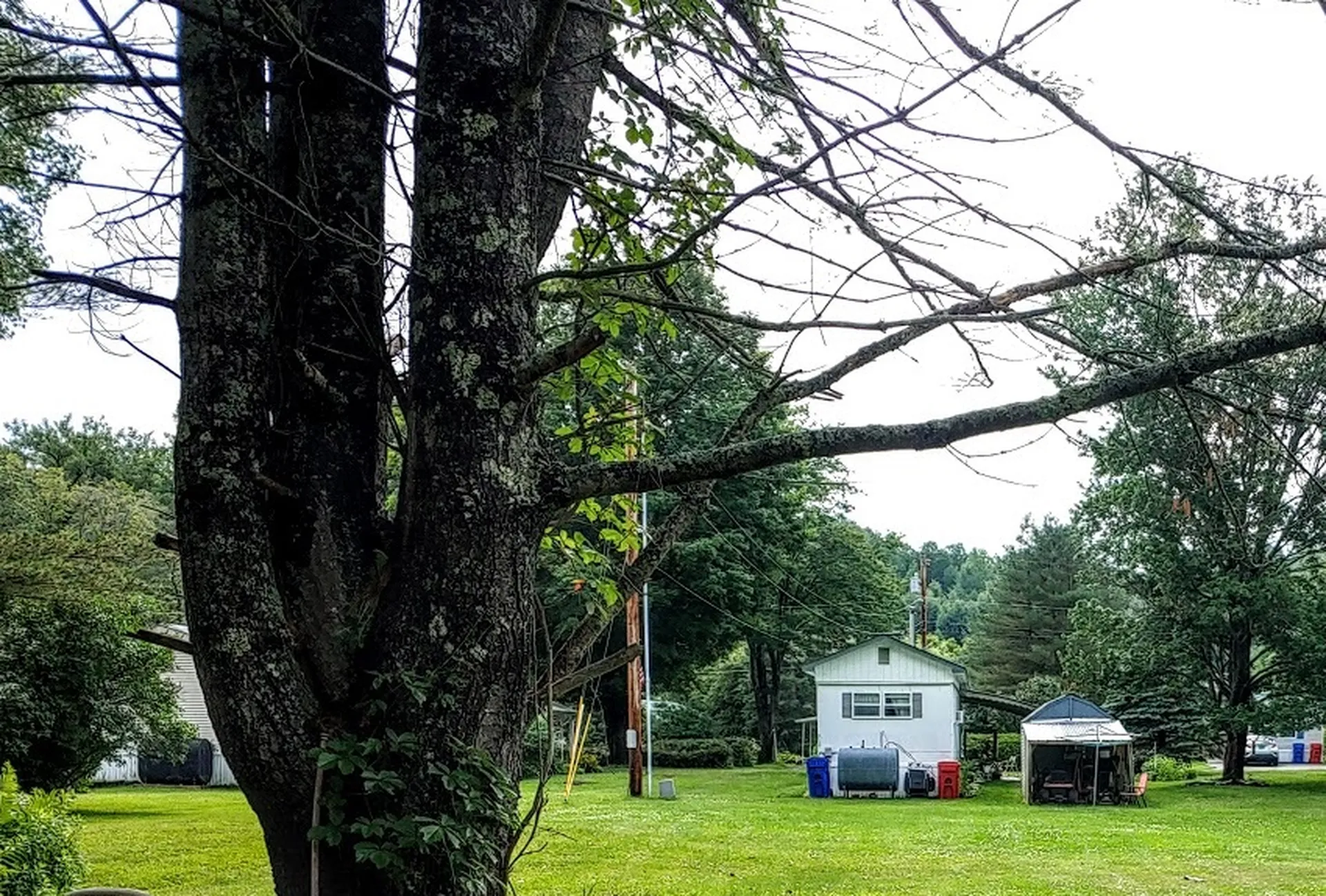 208 Cedar Drive Berlin VT 05641