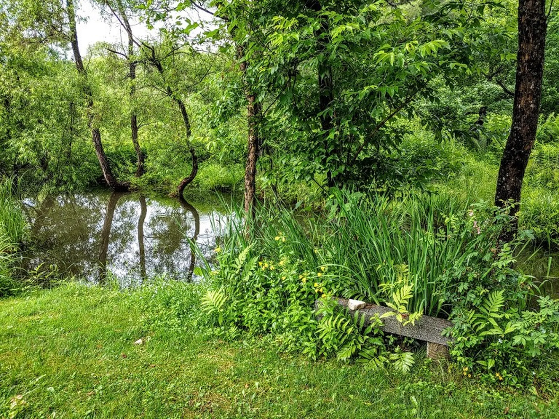 208 Cedar Drive Berlin VT 05641