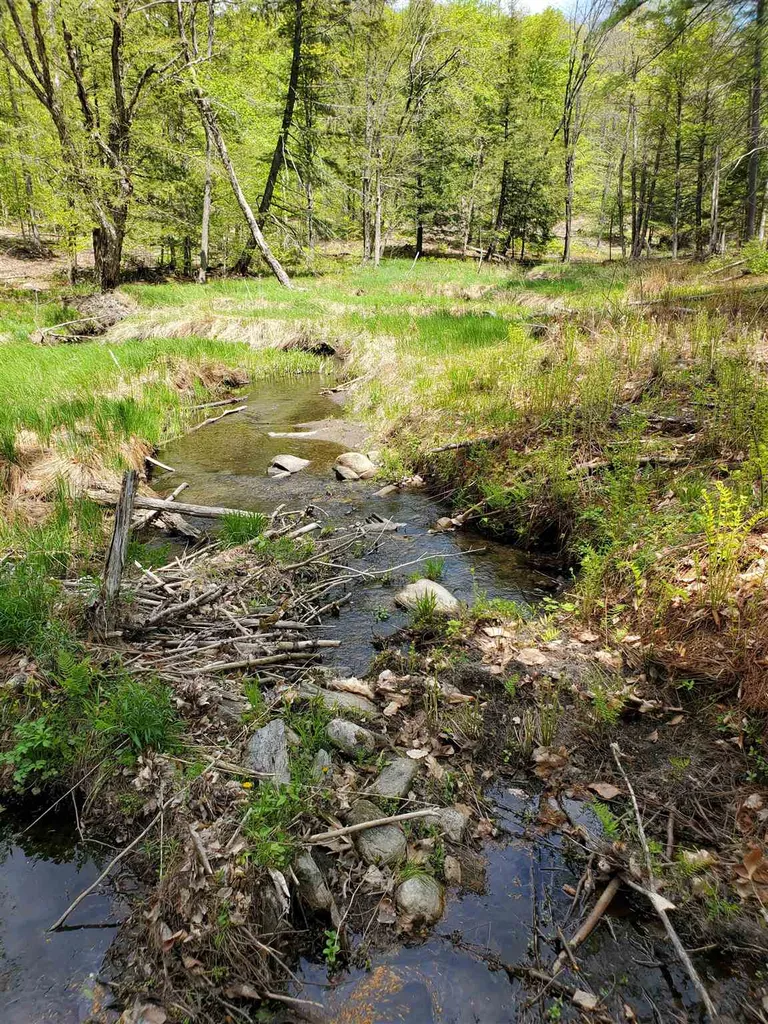 434 Norford Lake Road Thetford VT 05075