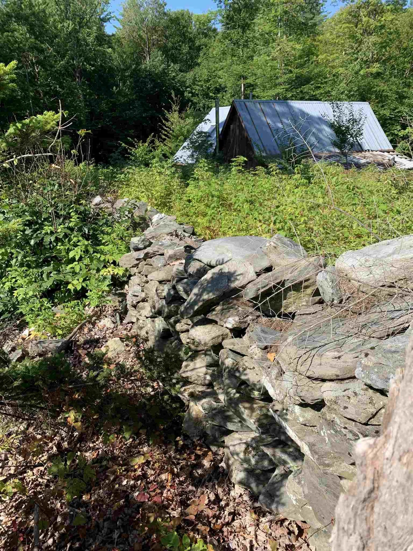 434 Norford Lake Road Thetford VT 05075