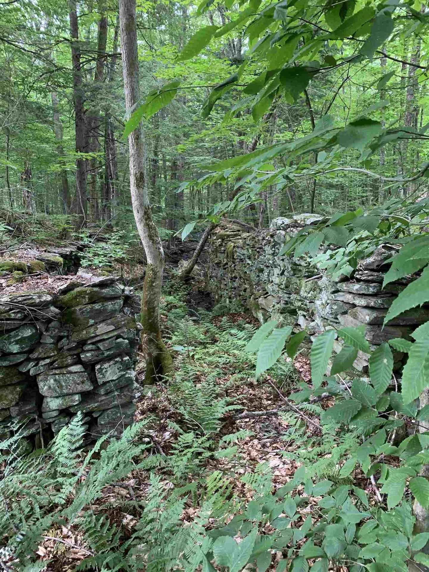 434 Norford Lake Road Thetford VT 05075
