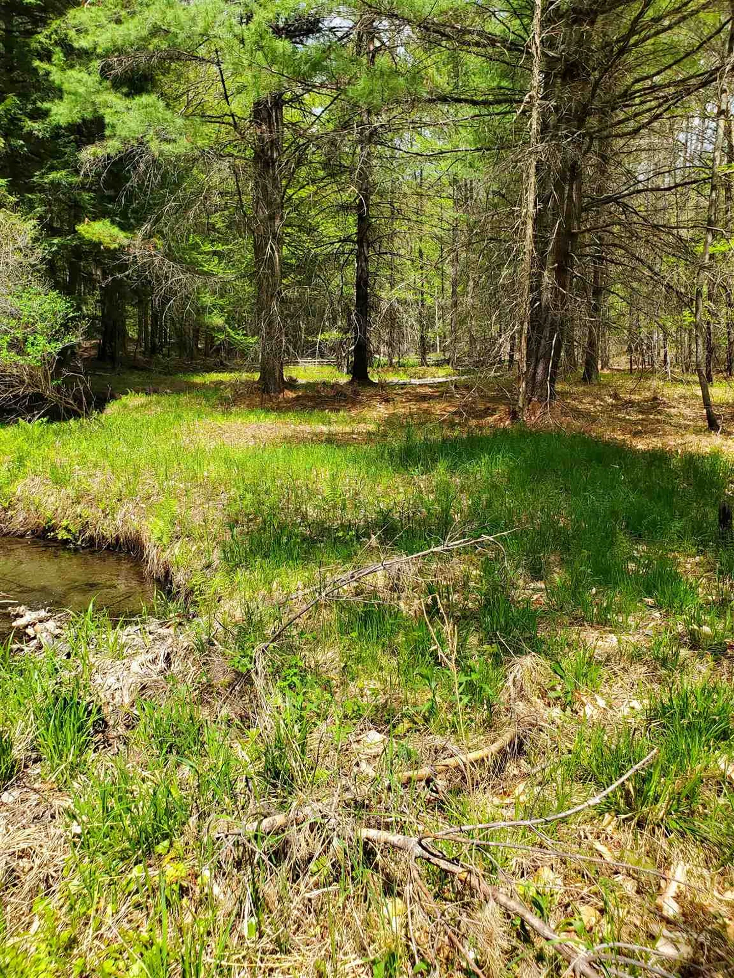 434 Norford Lake Road Thetford VT 05075