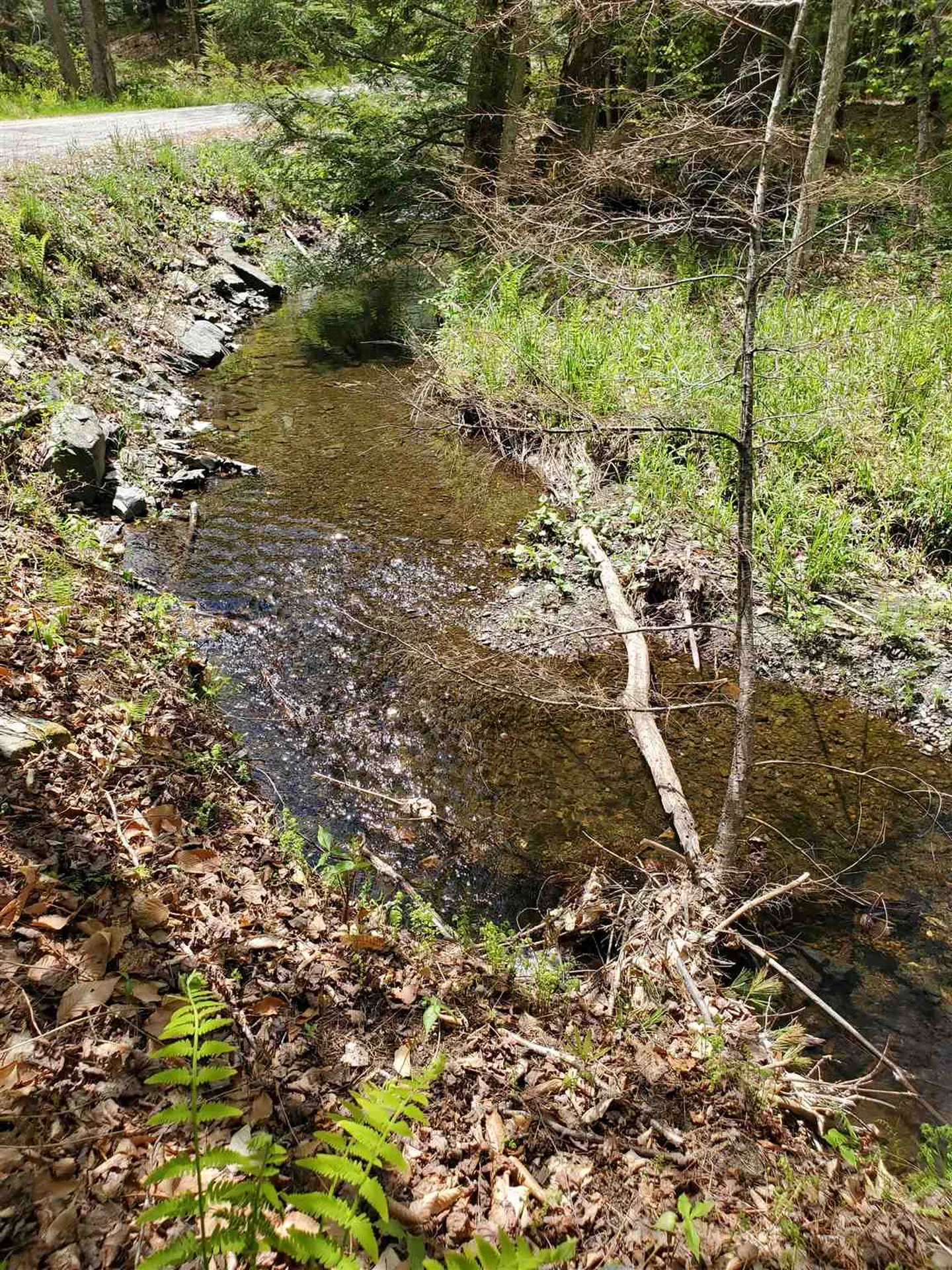 434 Norford Lake Road Thetford VT 05075