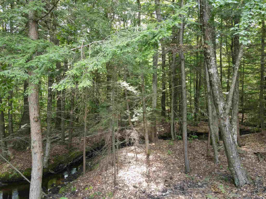 10 Irving Drive Weare NH 03281