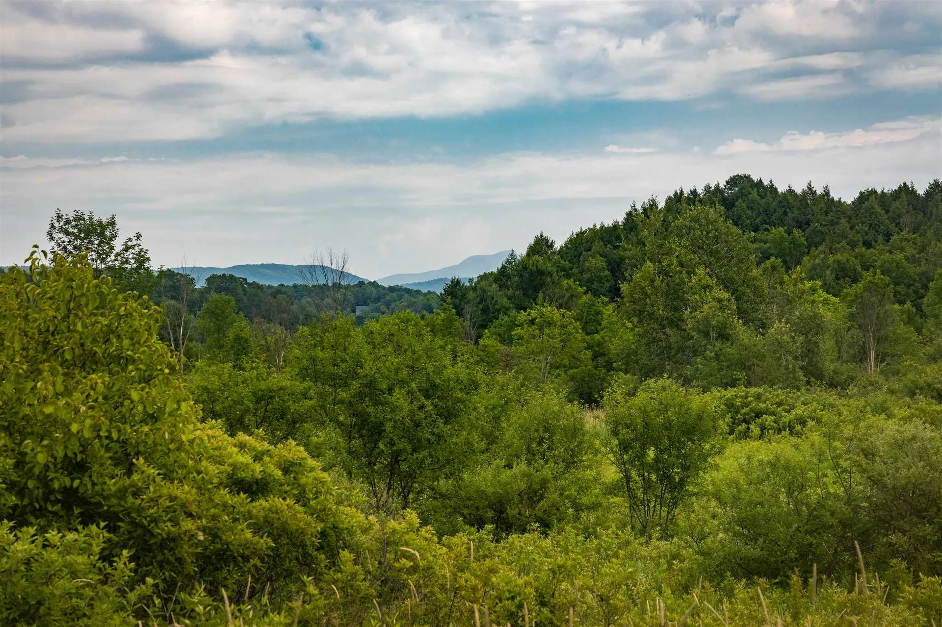 551 Dorset Street Charlotte VT 05445