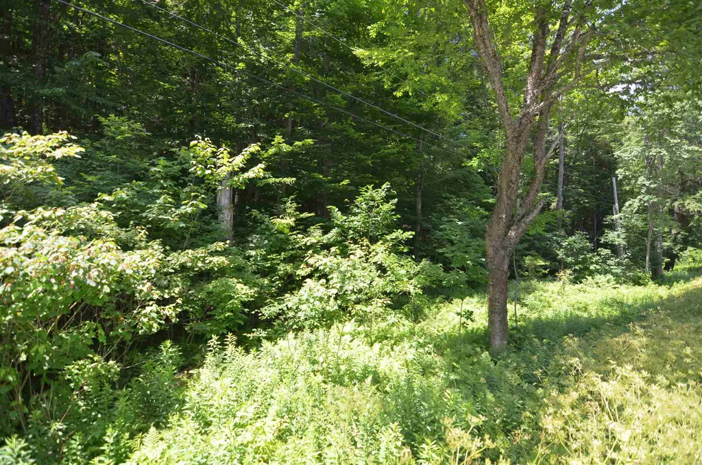 1336 Route 100 Plymouth VT 05056