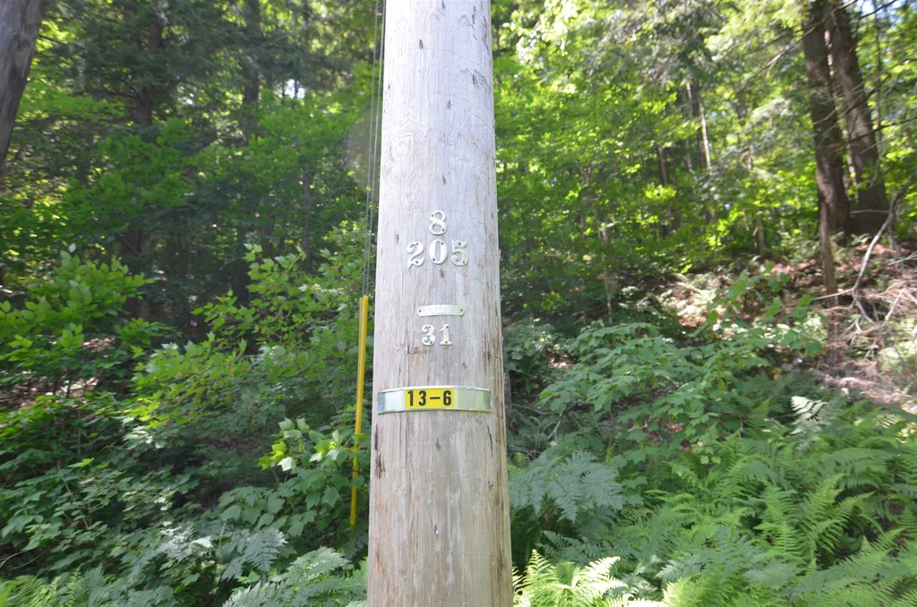 1336 Route 100 Plymouth VT 05056