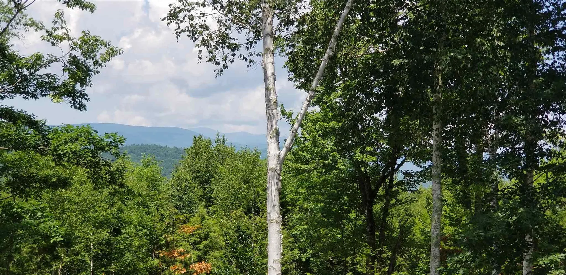 76 Stickney Hill Road Campton NH 03223