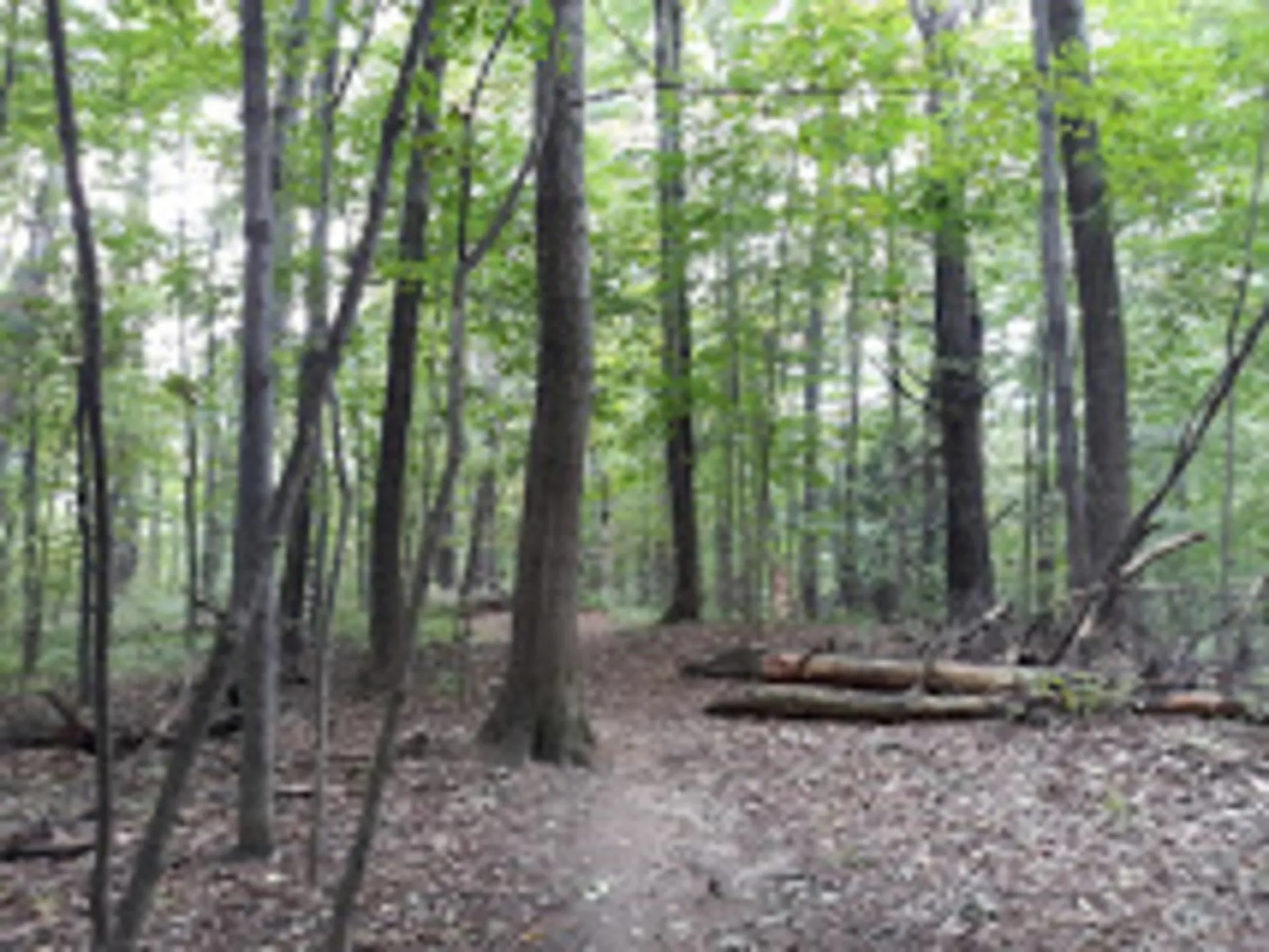44 Bilodeau Court Burlington VT 05401