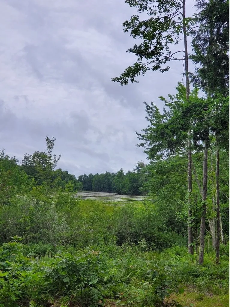 279 Littleworth Road Madbury NH 03823