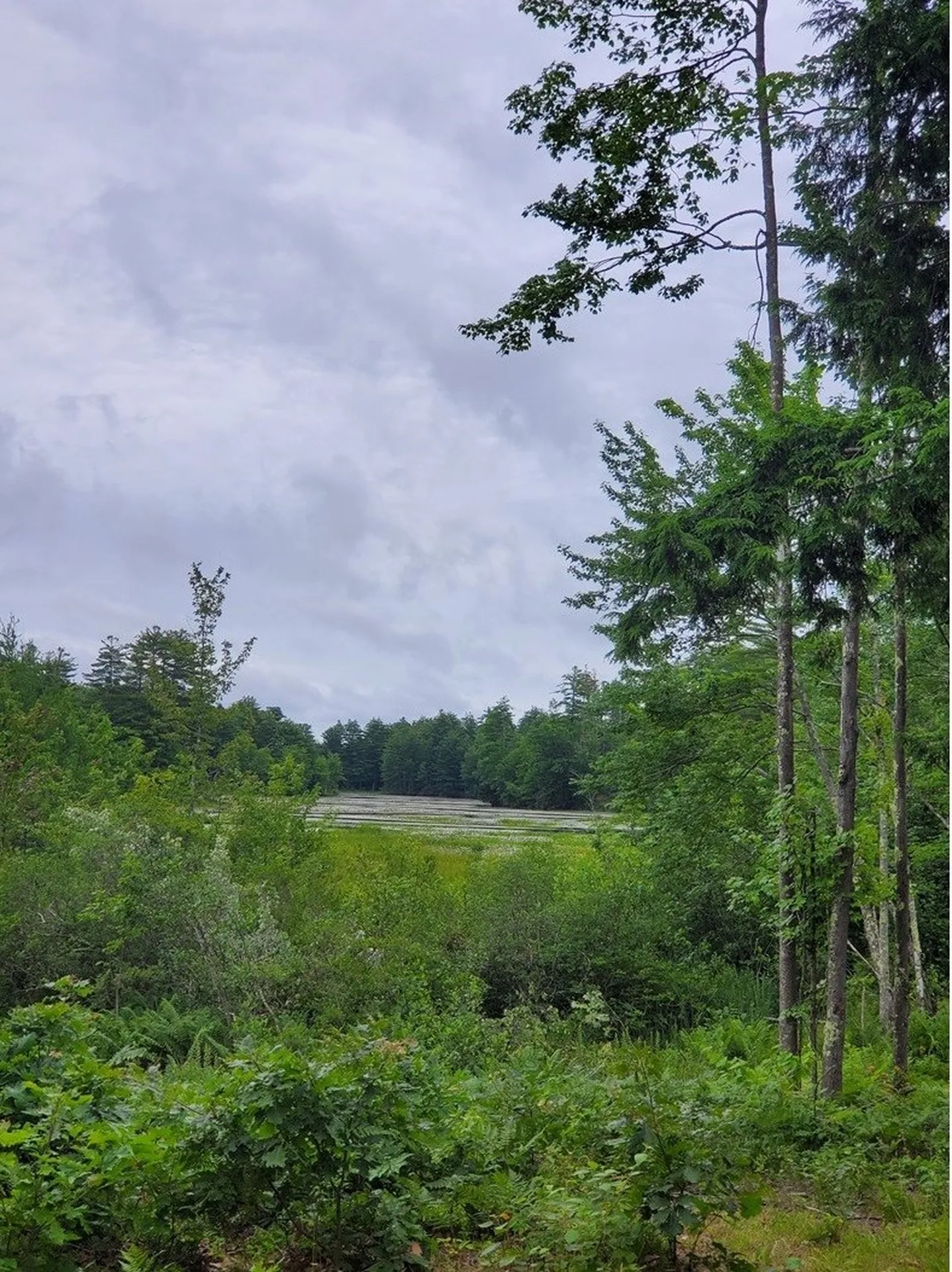 279 Littleworth Road Madbury NH 03823