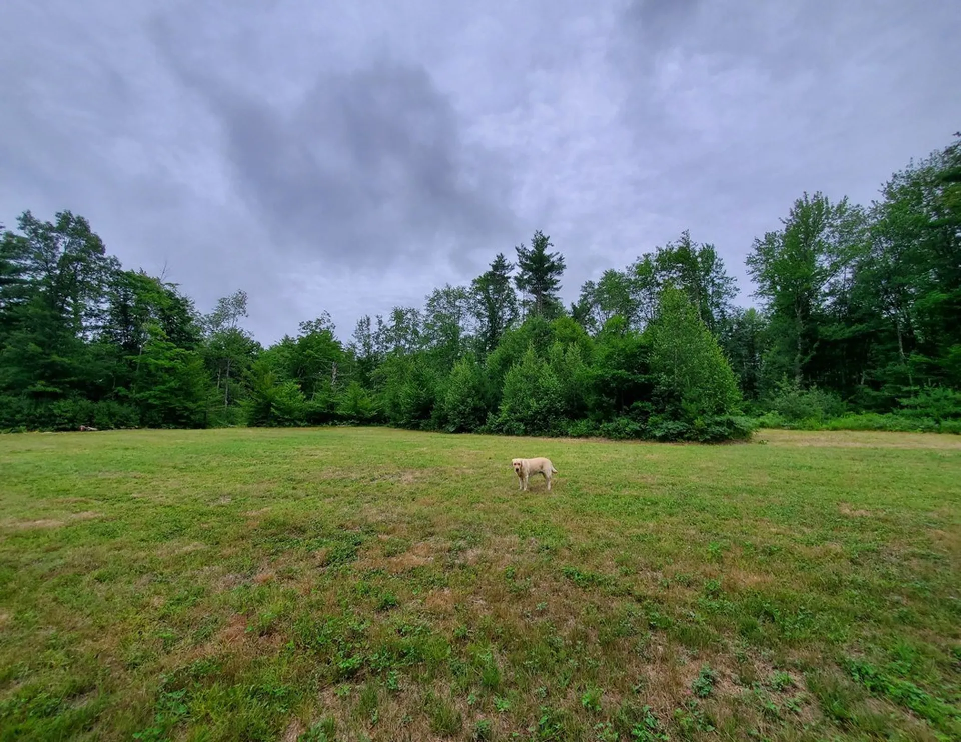279 Littleworth Road Madbury NH 03823