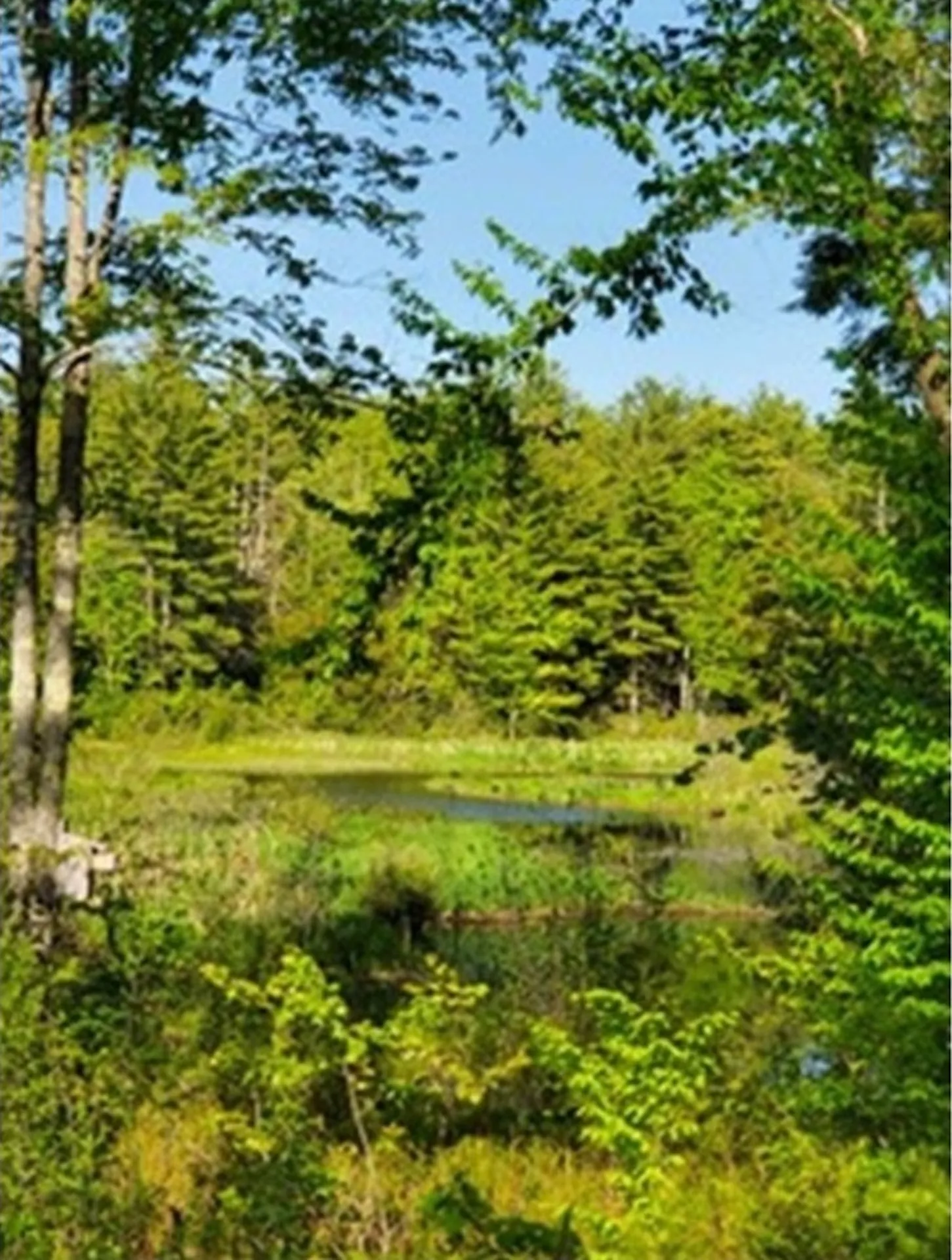 279 Littleworth Road Madbury NH 03823