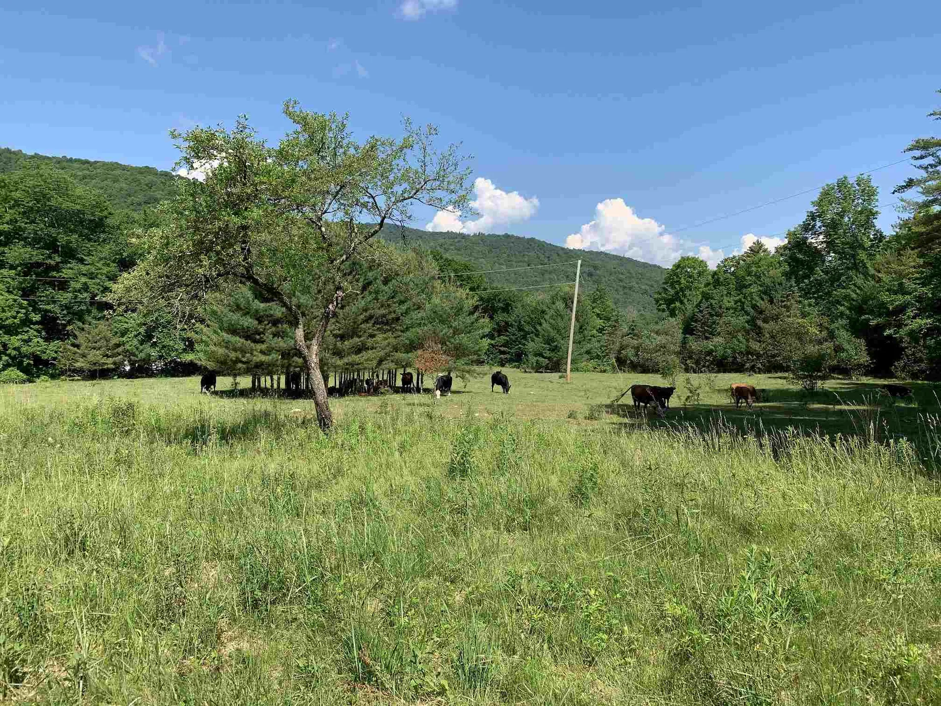 8342 Vt Route 12 Barnard VT 05031