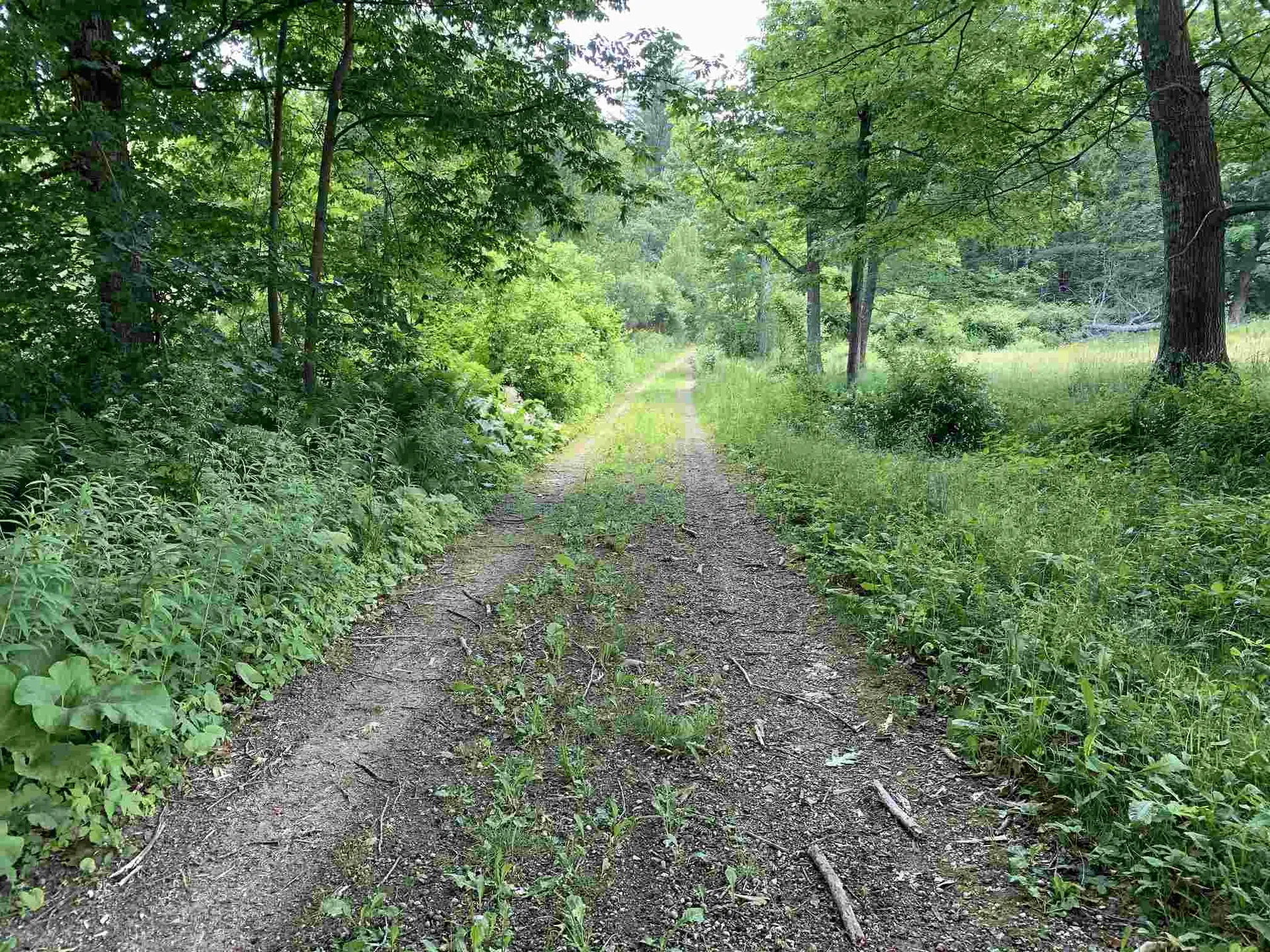 8342 Vt Route 12 Barnard VT 05031