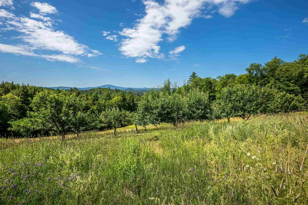 206 Landgrove Road Landgrove VT 05148