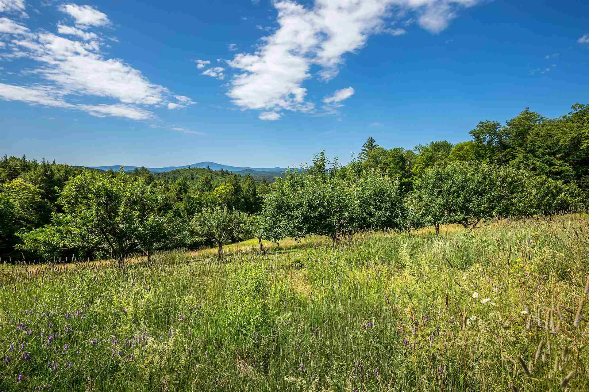 206 Landgrove Road Landgrove VT 05148