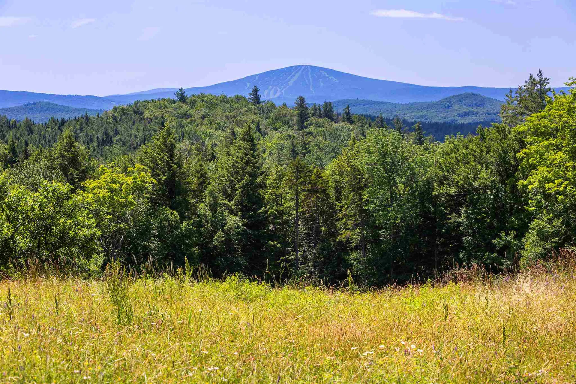 206 Landgrove Road Landgrove VT 05148