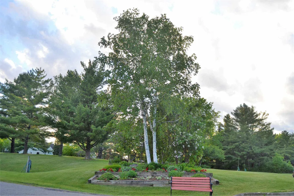 3222 The Terraces Shelburne VT 05482