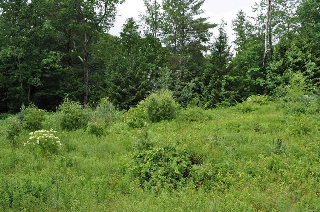 18 Stephens Drive Rochester NH 03867