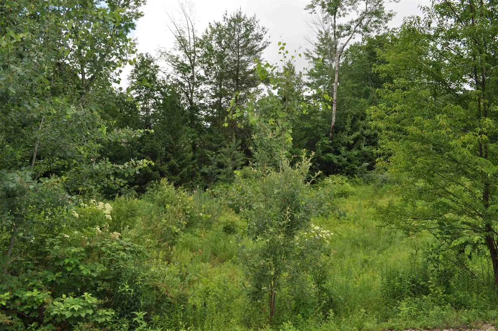 18 Stephens Drive Rochester NH 03867