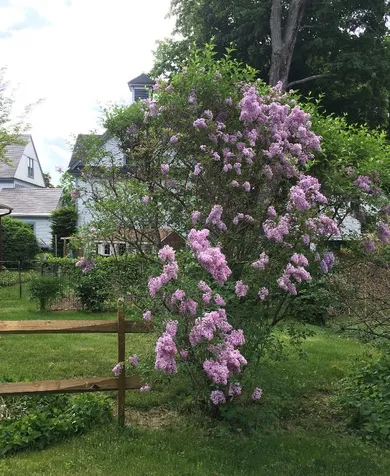 155 Prospect Street Franklin NH 03235