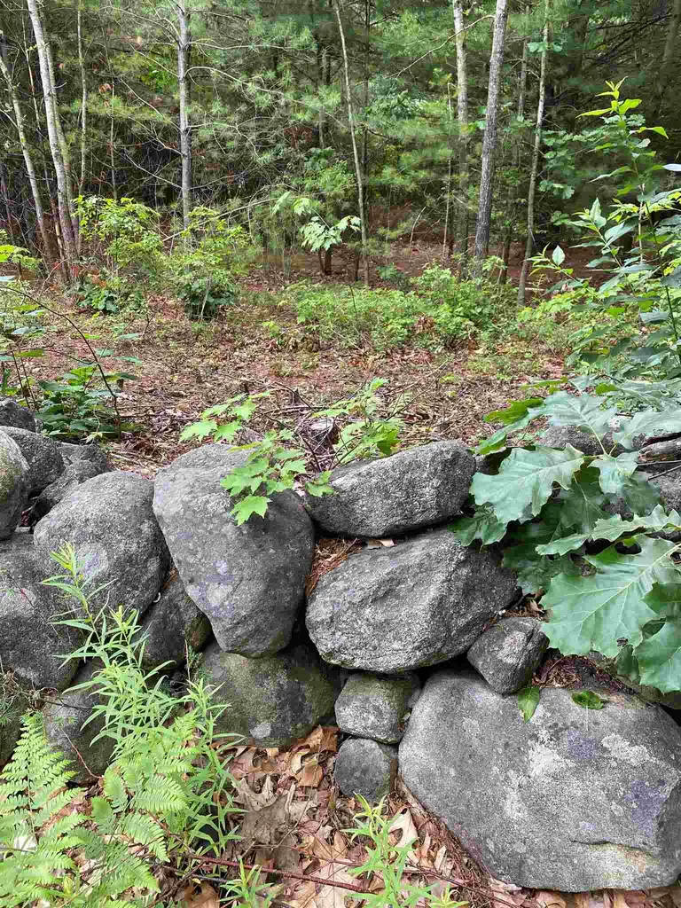 2 Colonel Wilkins Road Amherst NH 03031