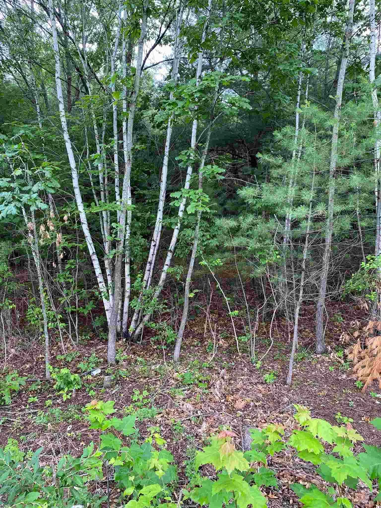 2 Colonel Wilkins Road Amherst NH 03031