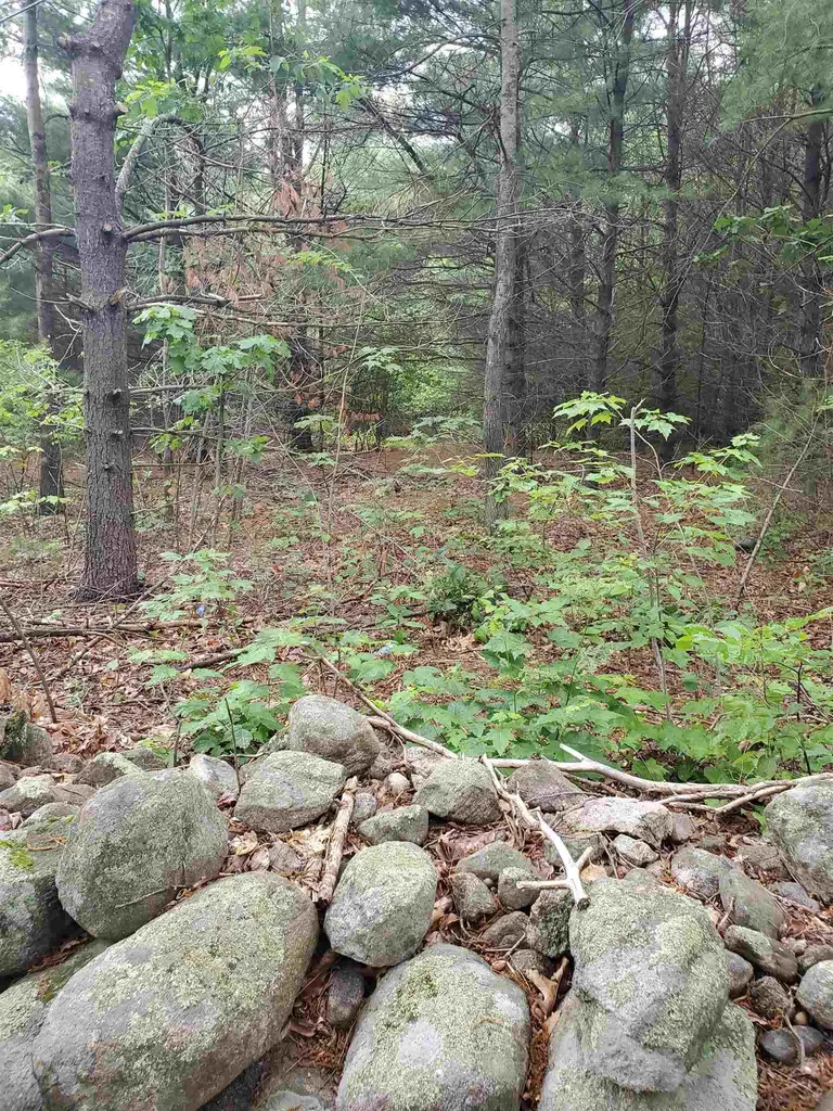 2 Colonel Wilkins Road Amherst NH 03031