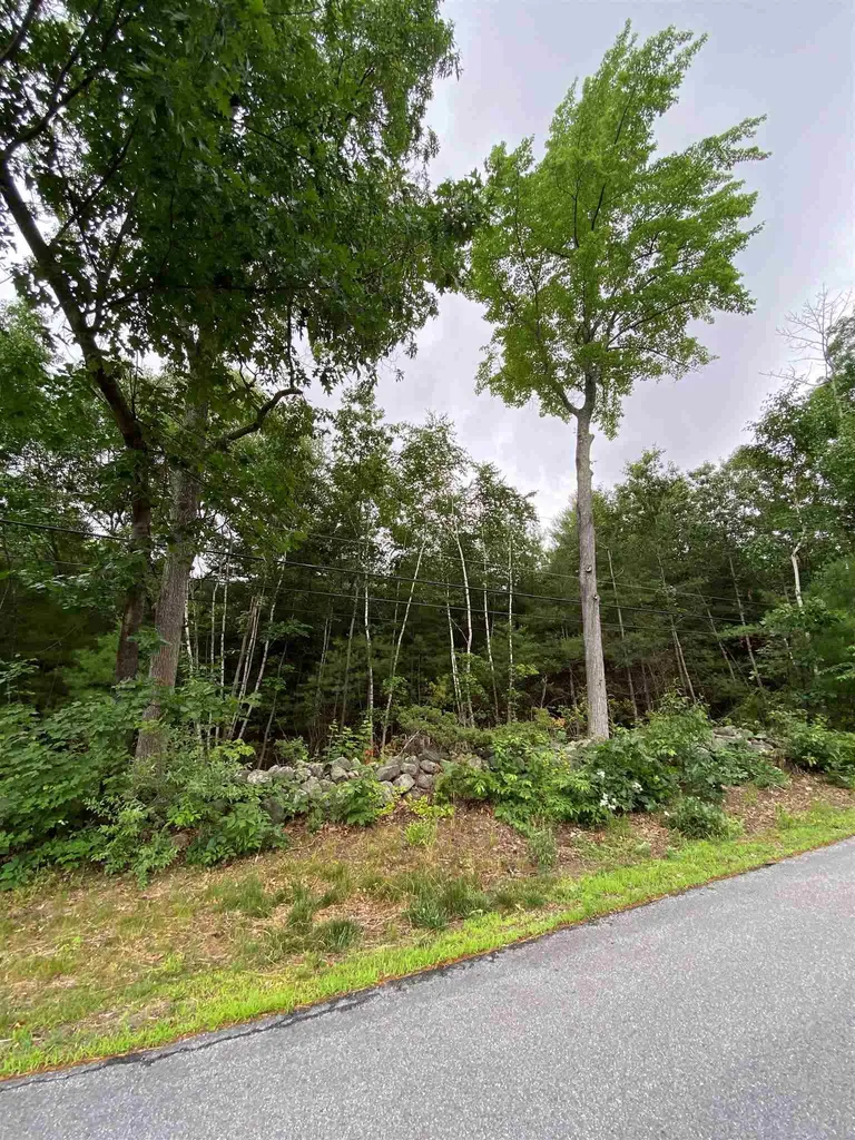 2 Colonel Wilkins Road Amherst NH 03031