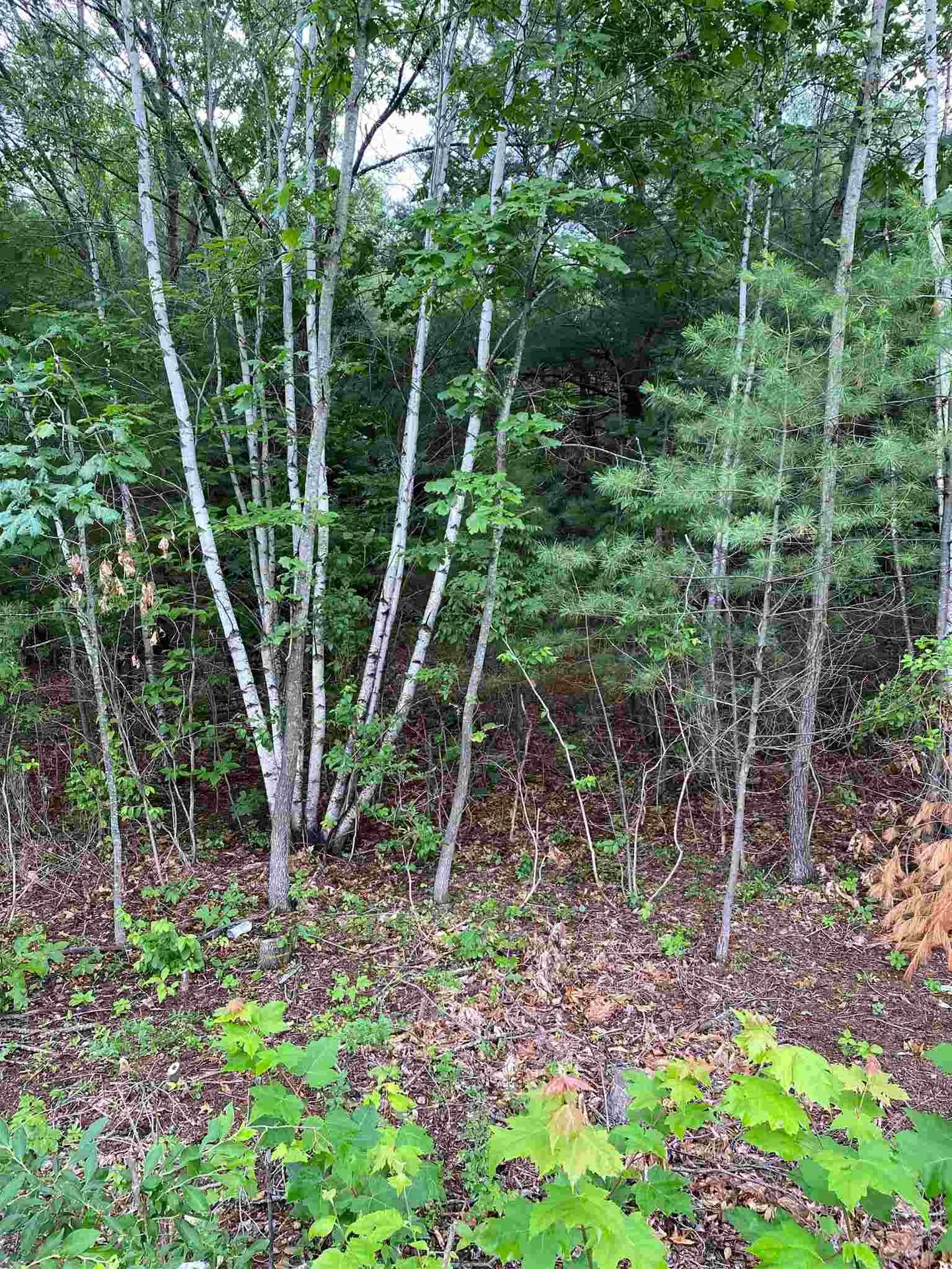 2 Colonel Wilkins Road Amherst NH 03031