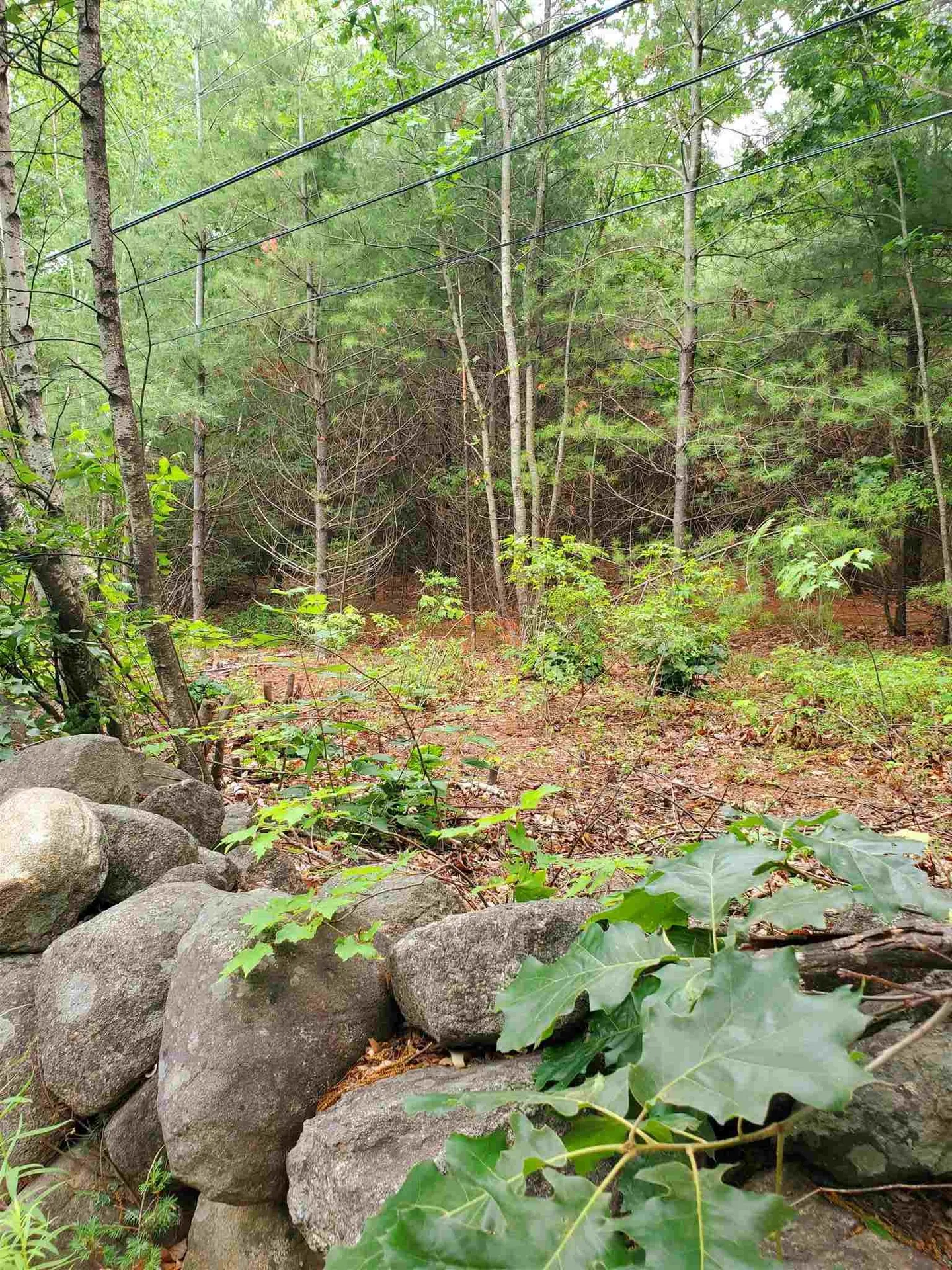 2 Colonel Wilkins Road Amherst NH 03031