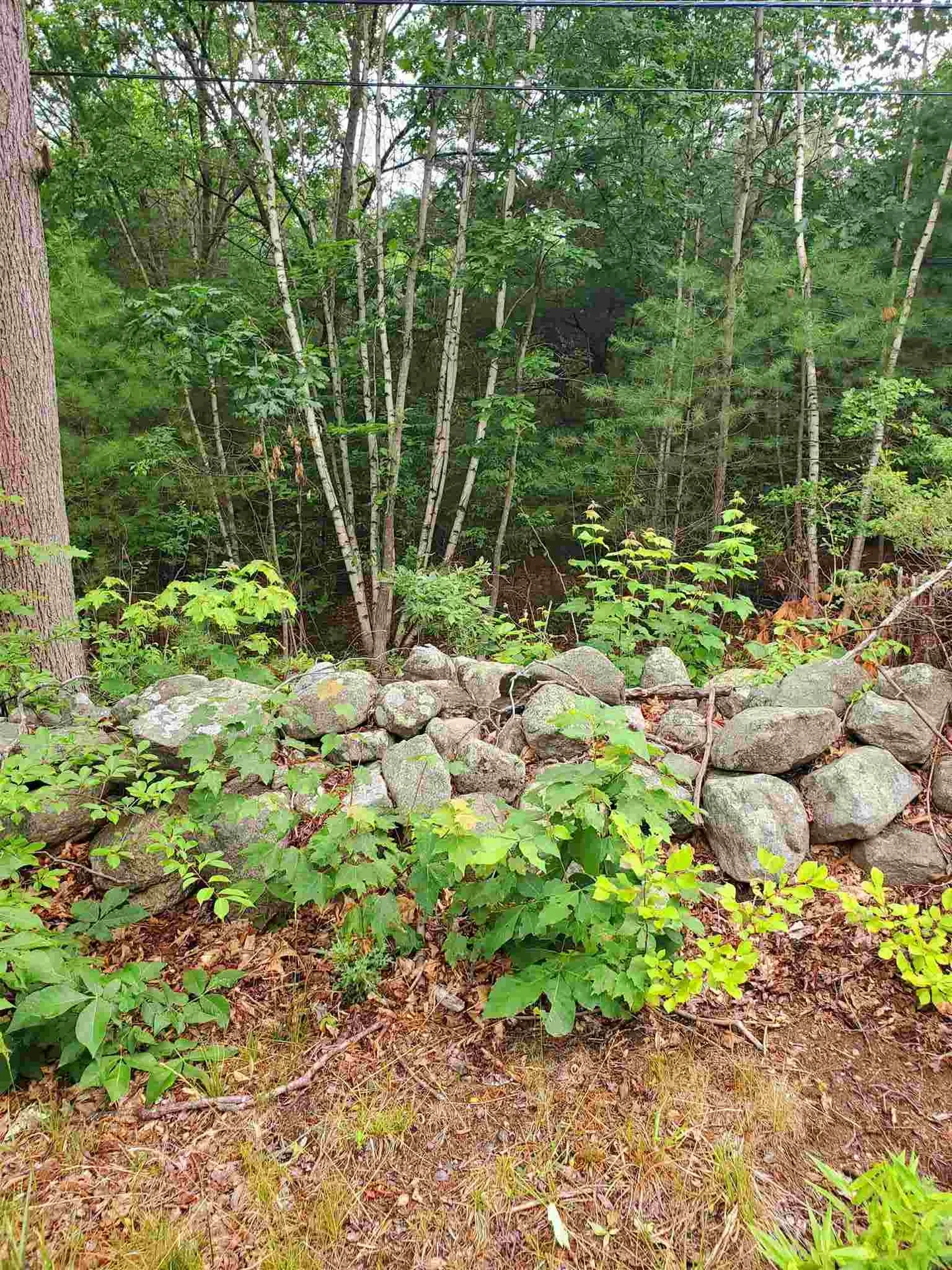 2 Colonel Wilkins Road Amherst NH 03031