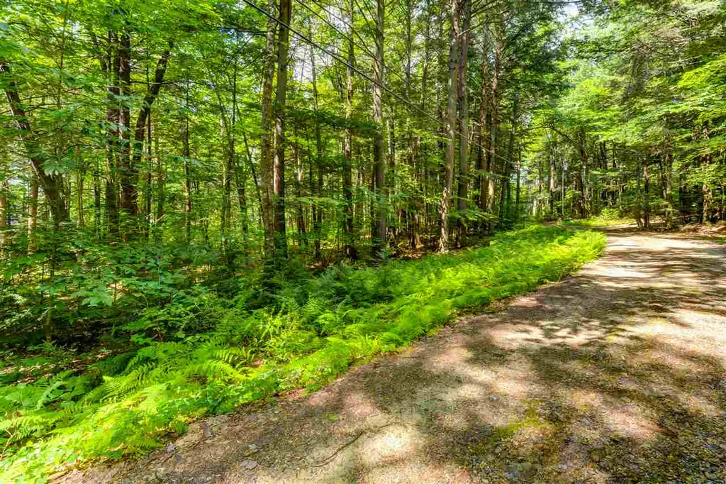 00 Newman Road Center Harbor NH 03226