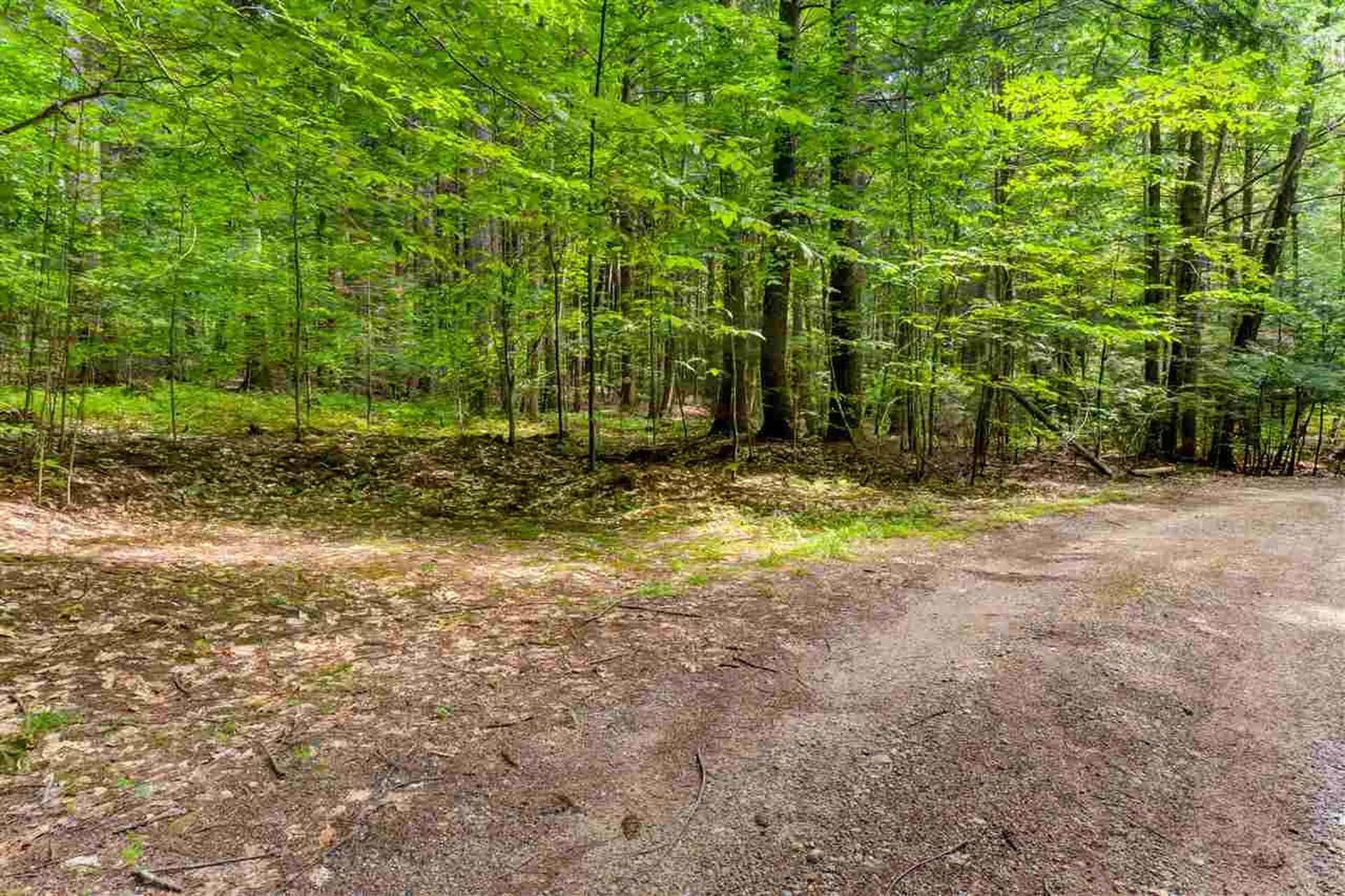00 Newman Road Center Harbor NH 03226