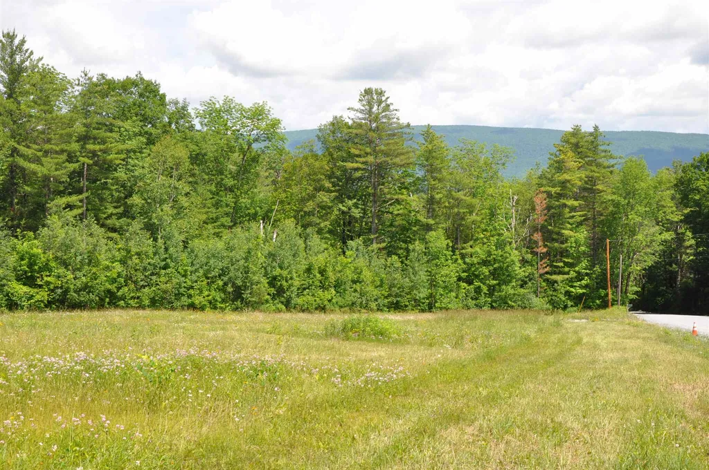 Three Maple Drive Manchester VT 05255