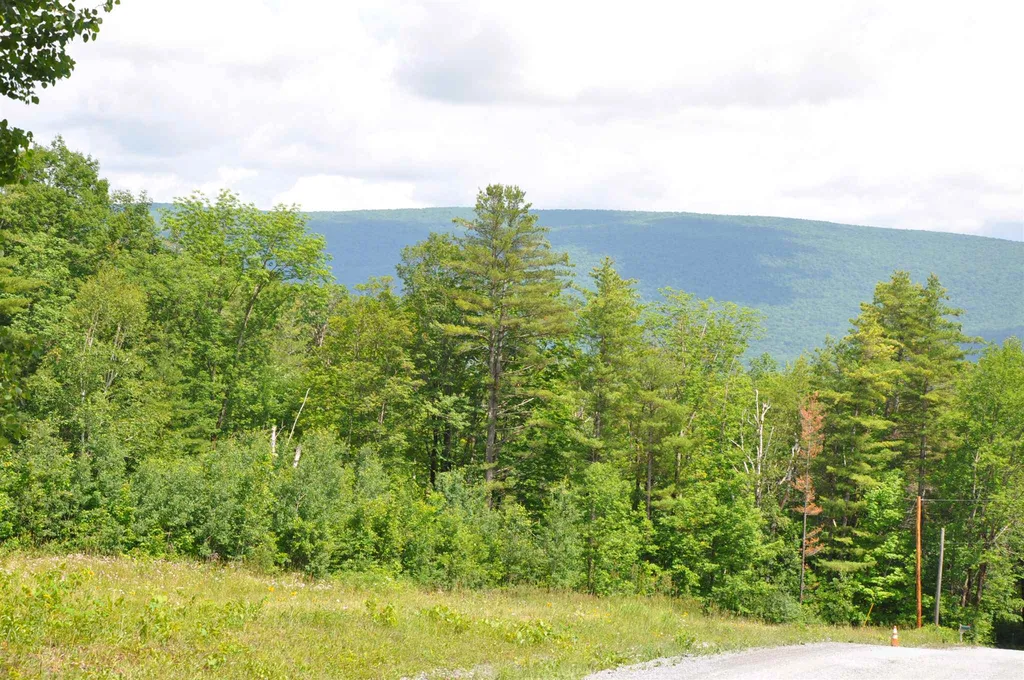 Three Maple Drive Manchester VT 05255