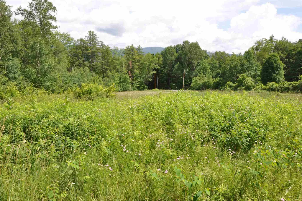 Three Maple Drive Manchester VT 05255