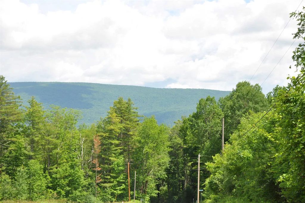 Three Maple Drive Manchester VT 05255
