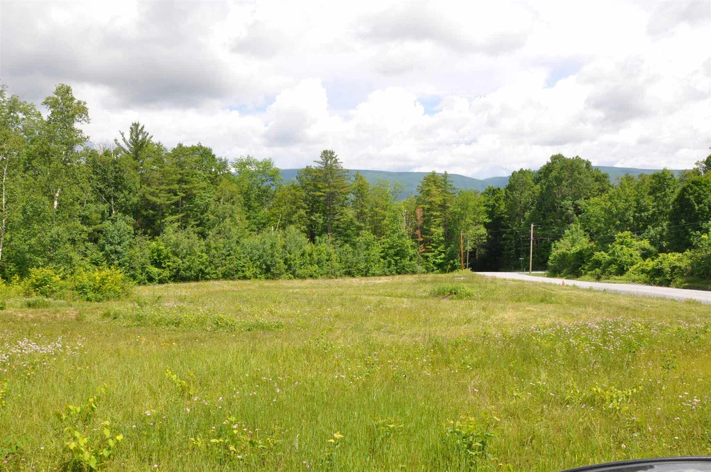Three Maple Drive Manchester VT 05255
